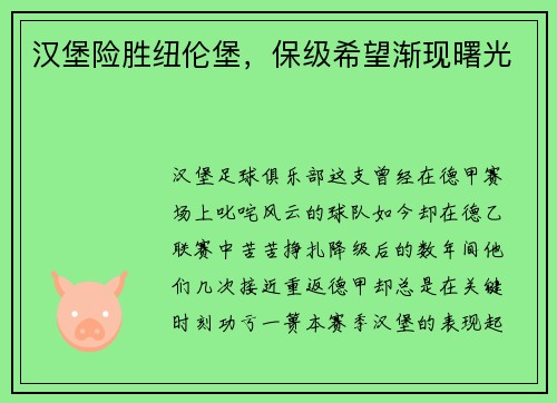 汉堡险胜纽伦堡，保级希望渐现曙光
